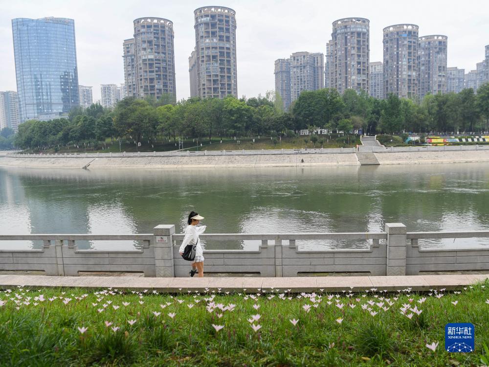 深圳永元评级官网